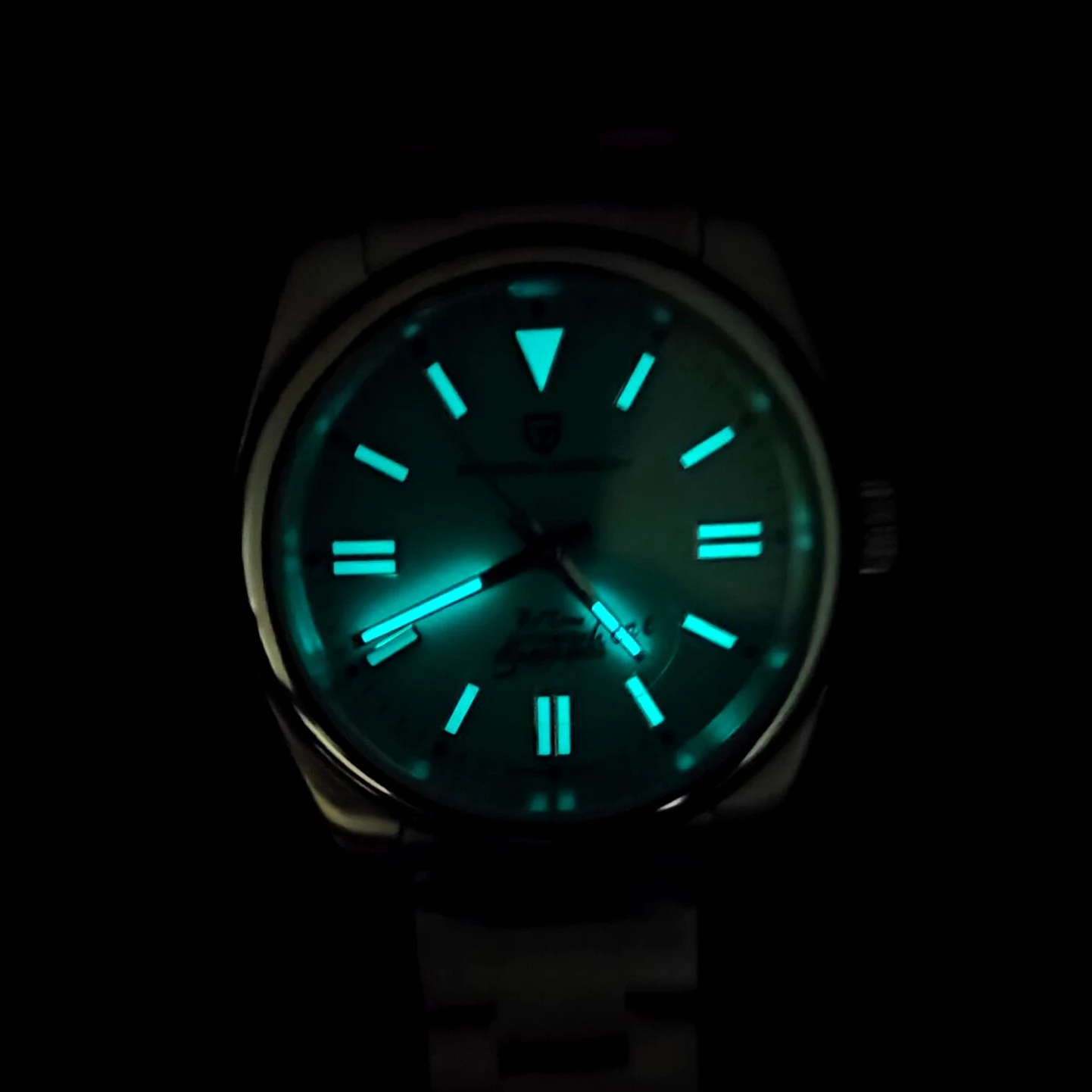 PAGANI DESIGN Luxury Classic M - đánh giá và giá Seiko Watch Prospex